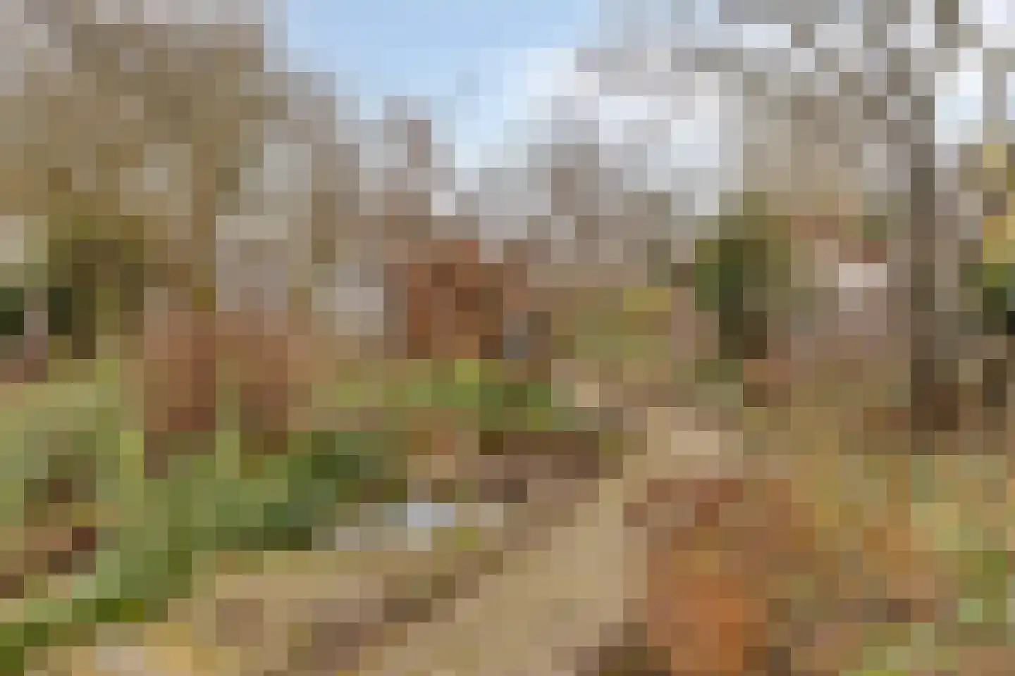Ien Dalessingel 31 Zutphen thumbnail 36