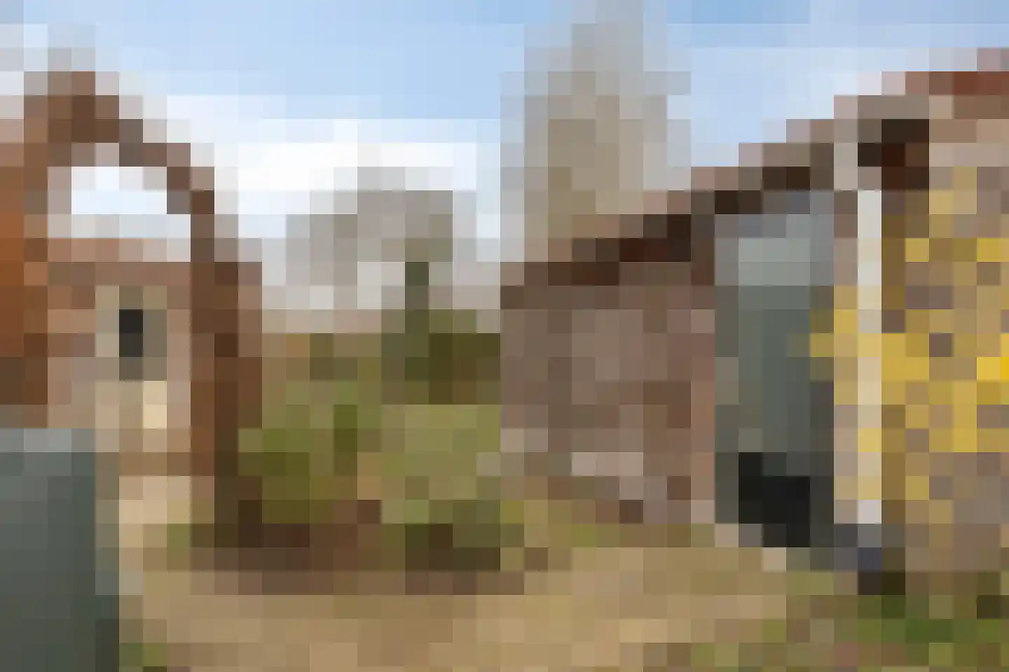 Ien Dalessingel 31 Zutphen thumbnail 38