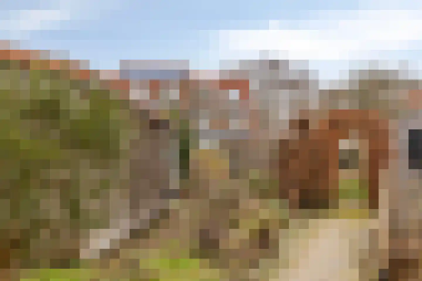 Ien Dalessingel 31 Zutphen thumbnail 39