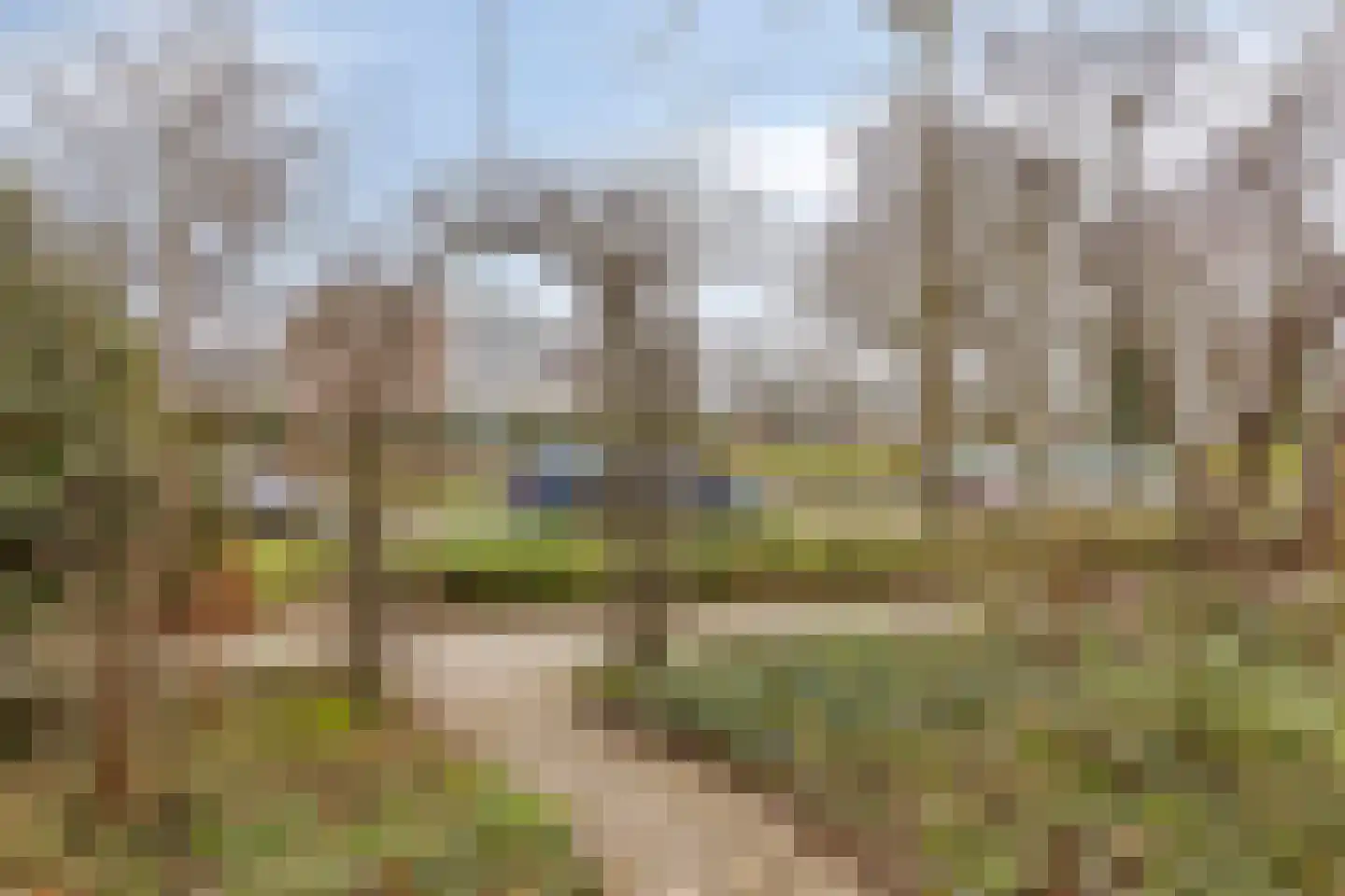 Ien Dalessingel 31 Zutphen thumbnail 43