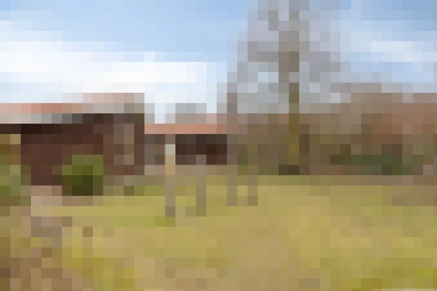 Ien Dalessingel 31 Zutphen thumbnail 44