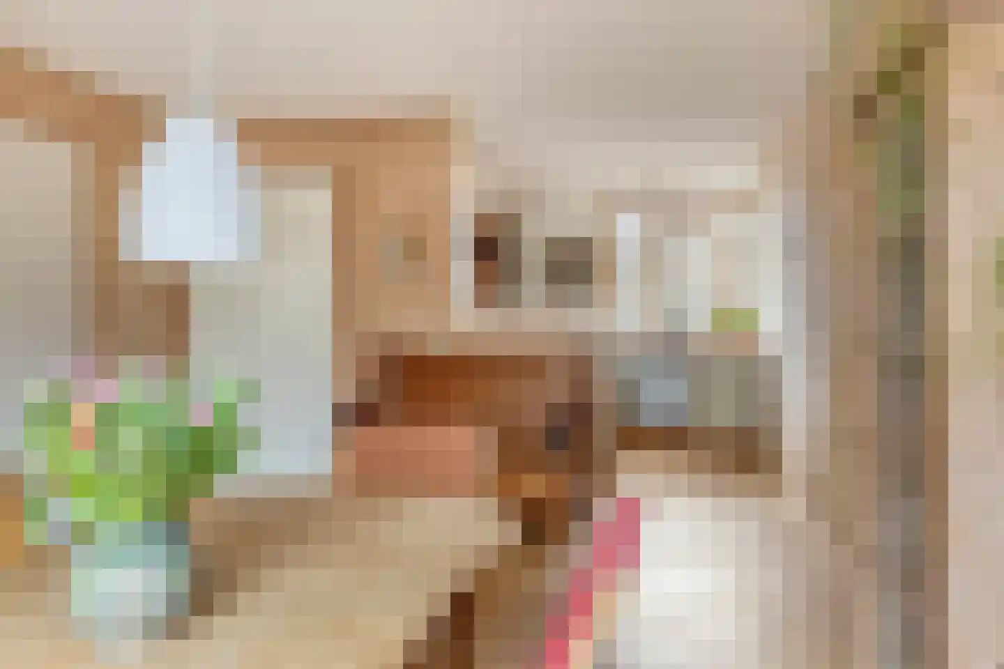 Ien Dalessingel 31 Zutphen thumbnail 7