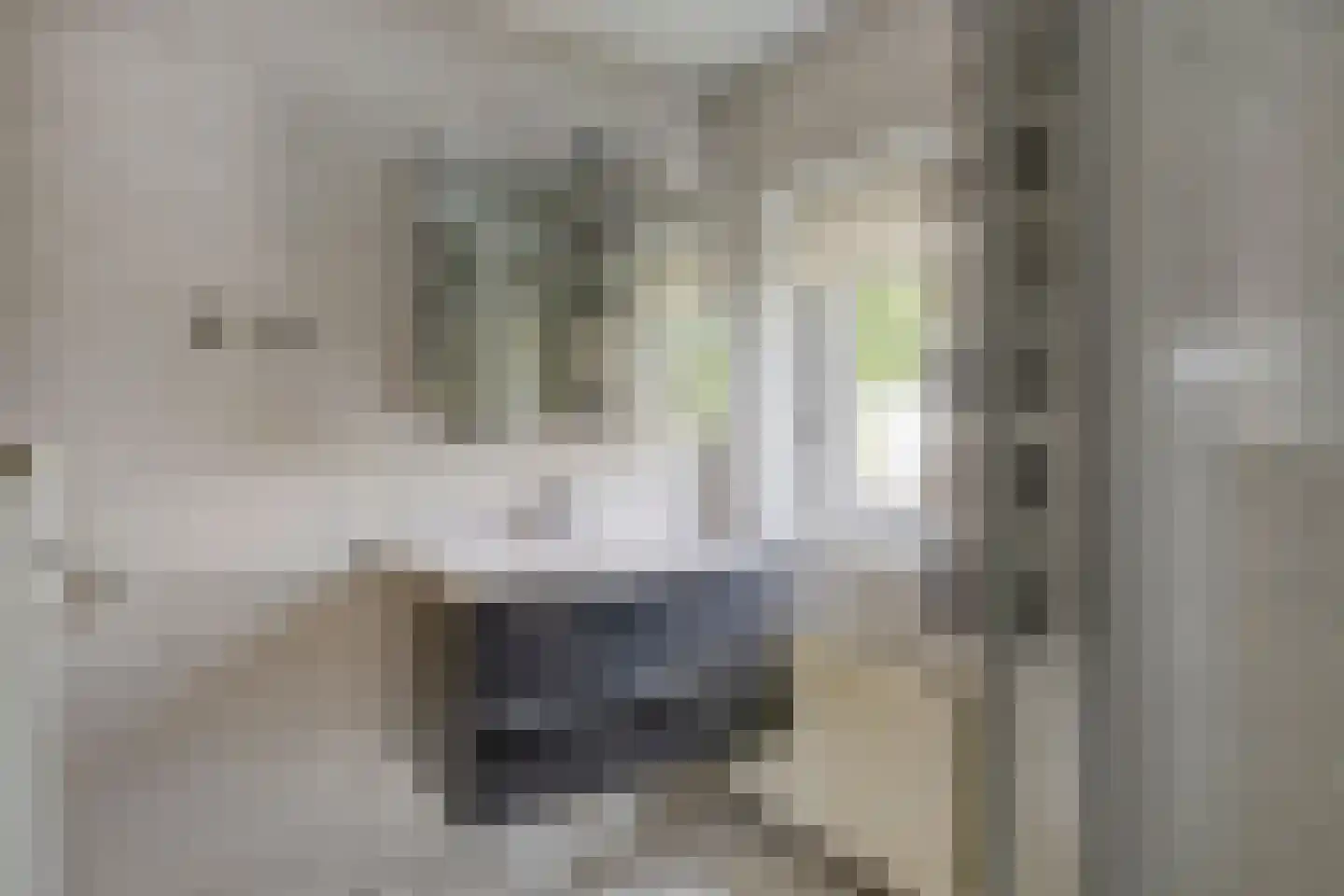 Ien Dalessingel 333 Zutphen thumbnail 16