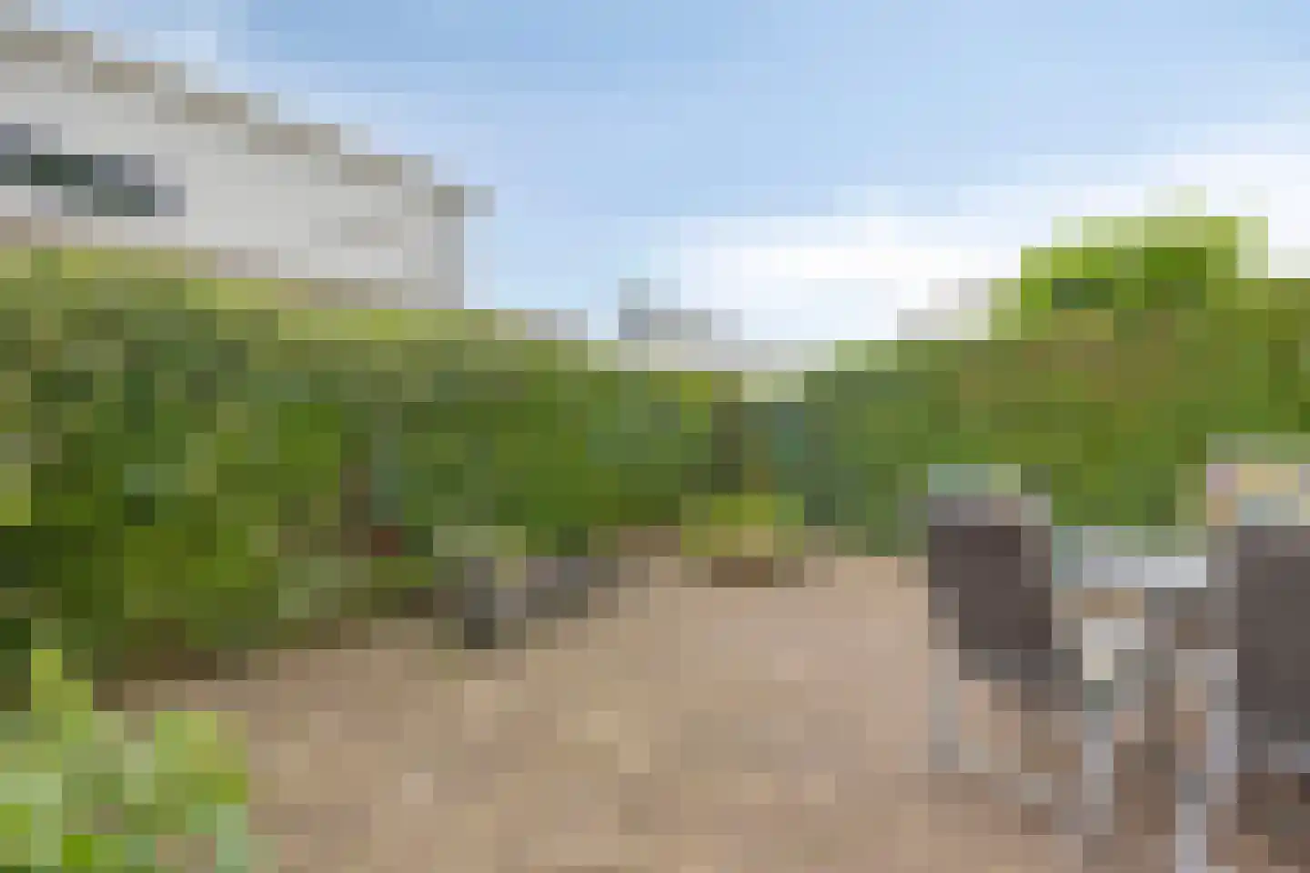 Ien Dalessingel 333 Zutphen thumbnail 25
