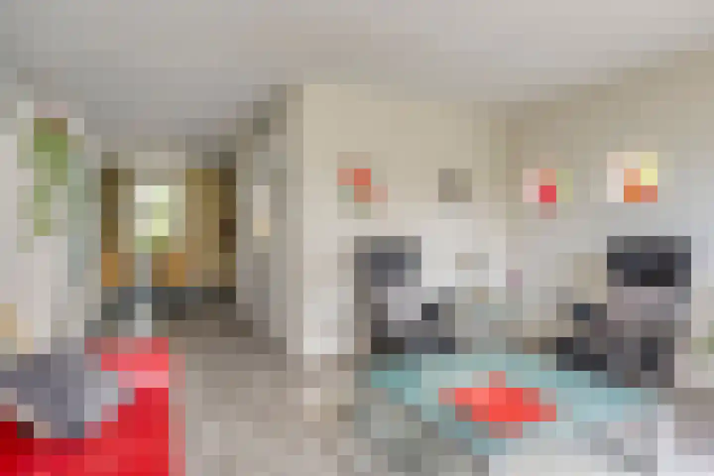 Ien Dalessingel 333 Zutphen thumbnail 4