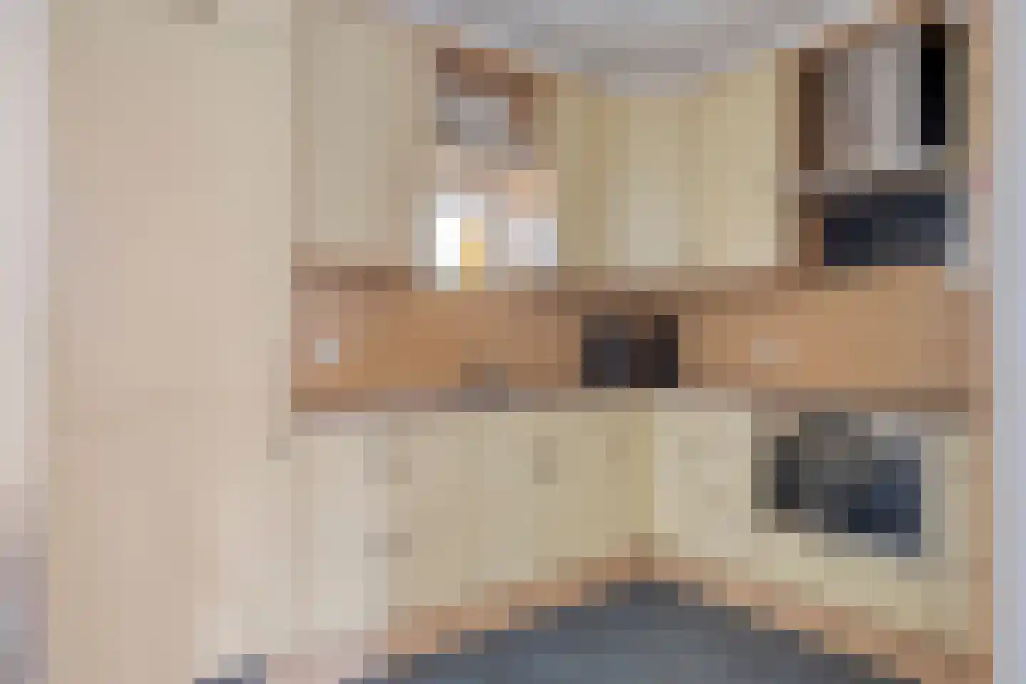 Ien Dalessingel 333 Zutphen thumbnail 9