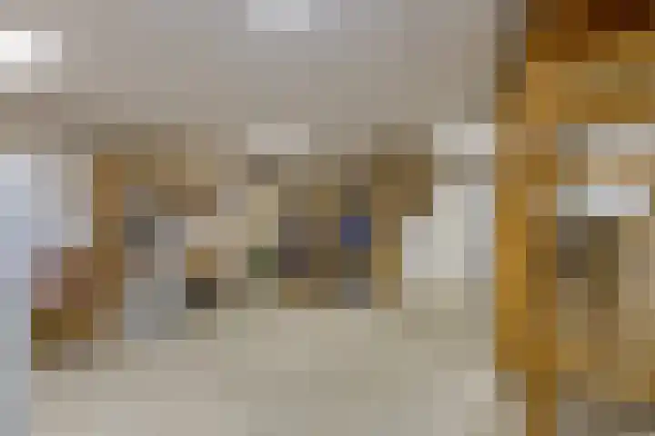 Ien Dalessingel 35 Zutphen thumbnail 16