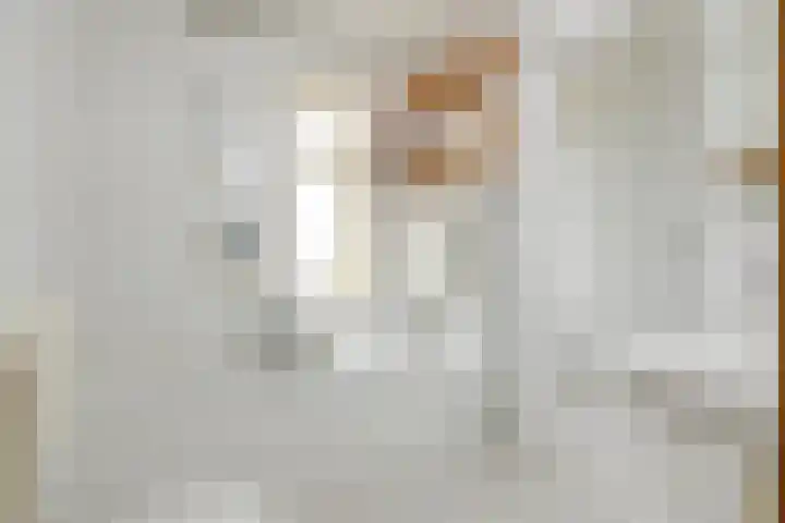 Ien Dalessingel 35 Zutphen thumbnail 18
