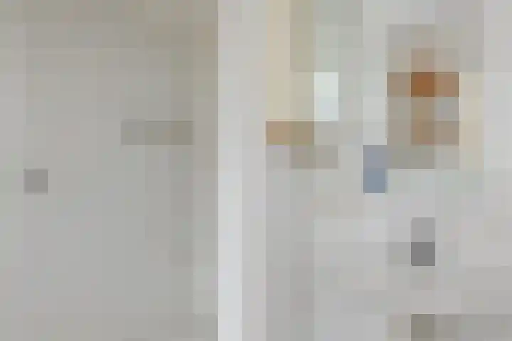 Ien Dalessingel 35 Zutphen thumbnail 19