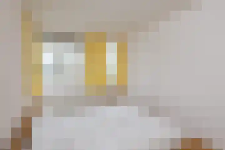 Ien Dalessingel 35 Zutphen thumbnail 21