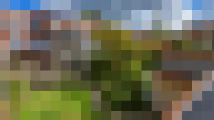 Ien Dalessingel 35 Zutphen thumbnail 30