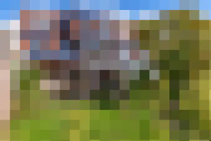Ien Dalessingel 35 Zutphen thumbnail 31
