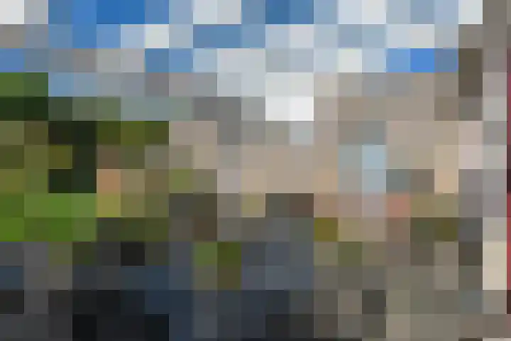 Ien Dalessingel 35 Zutphen thumbnail 33