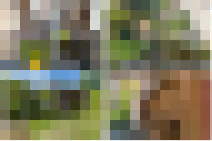 Ien Dalessingel 35 Zutphen thumbnail 34