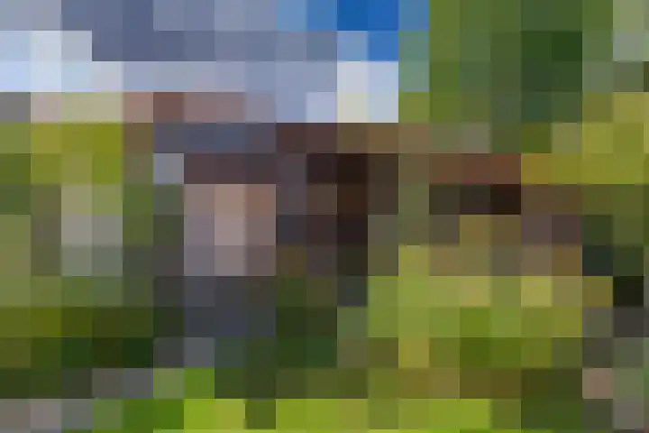 Ien Dalessingel 35 Zutphen thumbnail 35