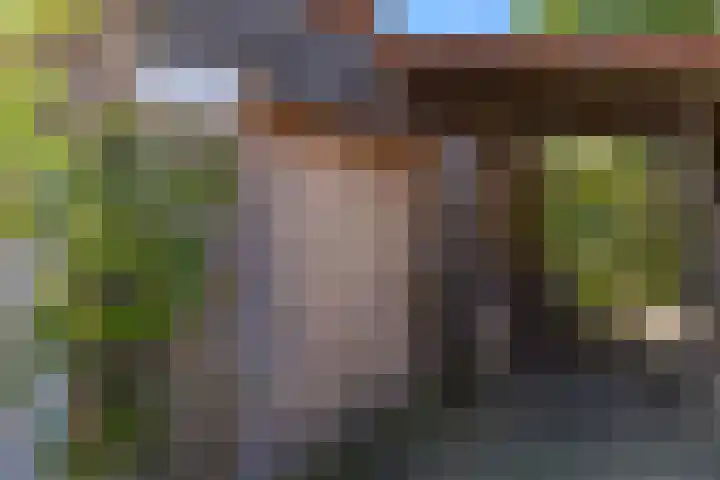 Ien Dalessingel 35 Zutphen thumbnail 36