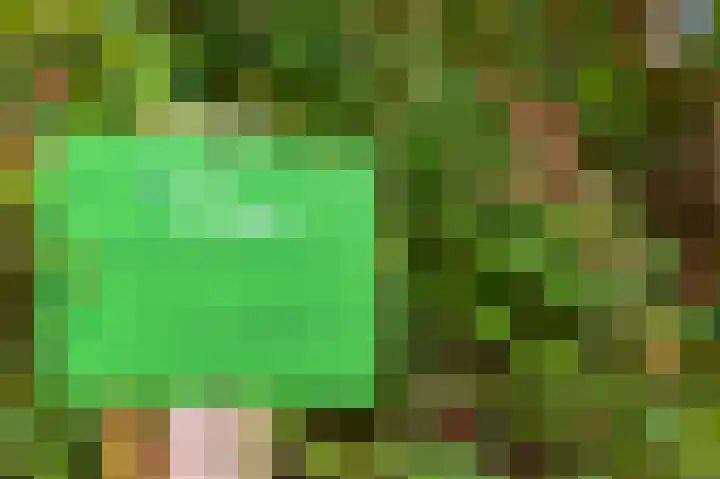 Ien Dalessingel 35 Zutphen thumbnail 40