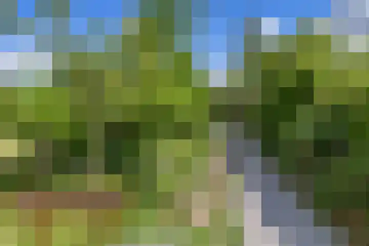 Ien Dalessingel 35 Zutphen thumbnail 42