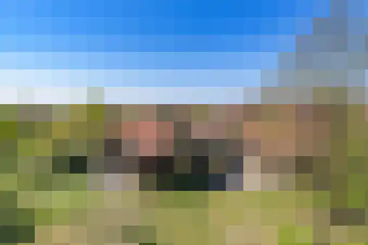 Ien Dalessingel 35 Zutphen thumbnail 43