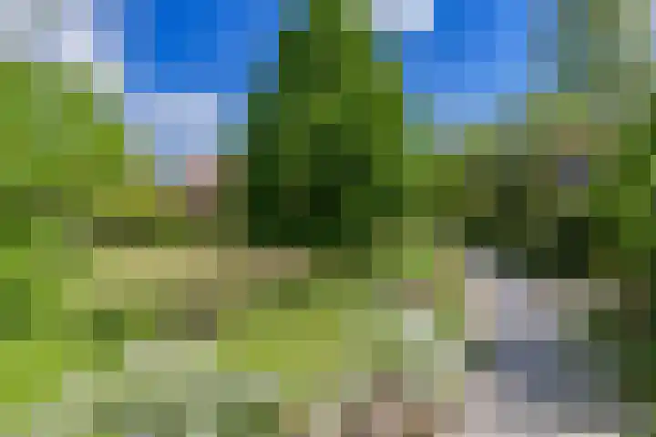 Ien Dalessingel 35 Zutphen thumbnail 45