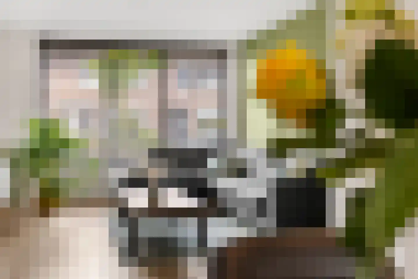 Ien de nej erf 24 Wanssum thumbnail 11