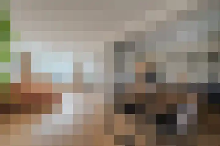 Ien de nej erf 4 Wanssum thumbnail 11