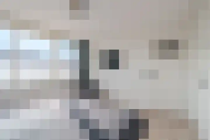 Ien de nej erf 4 Wanssum thumbnail 22