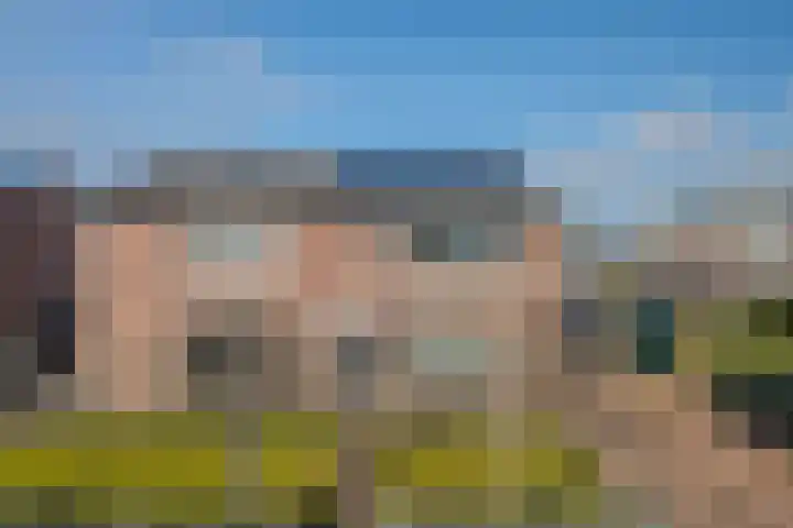 Ien de nej erf 4 Wanssum foto 3