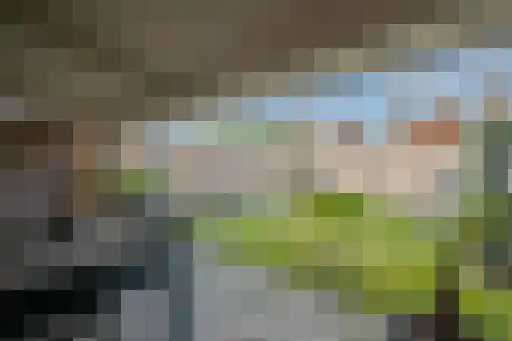 Ien de nej erf 4 Wanssum thumbnail 36