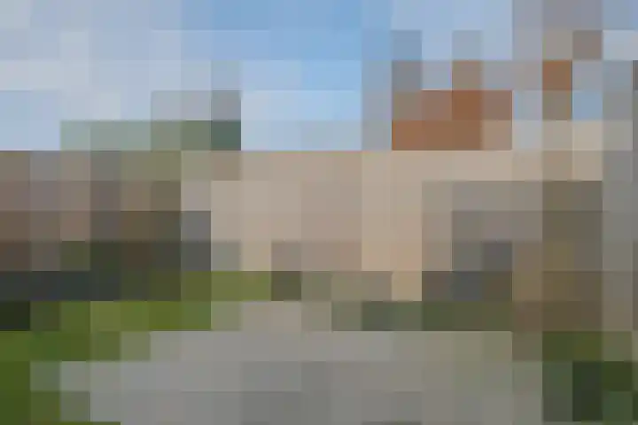 Ien de nej erf 4 Wanssum thumbnail 39