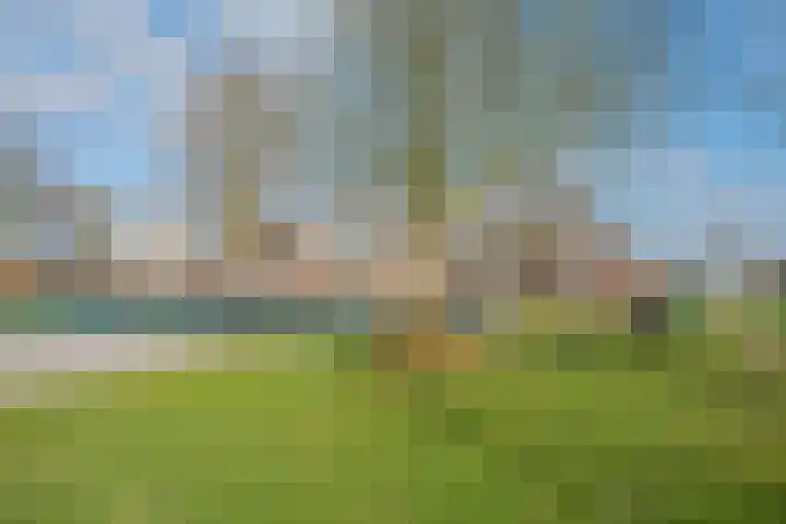 Ien de nej erf 4 Wanssum thumbnail 46