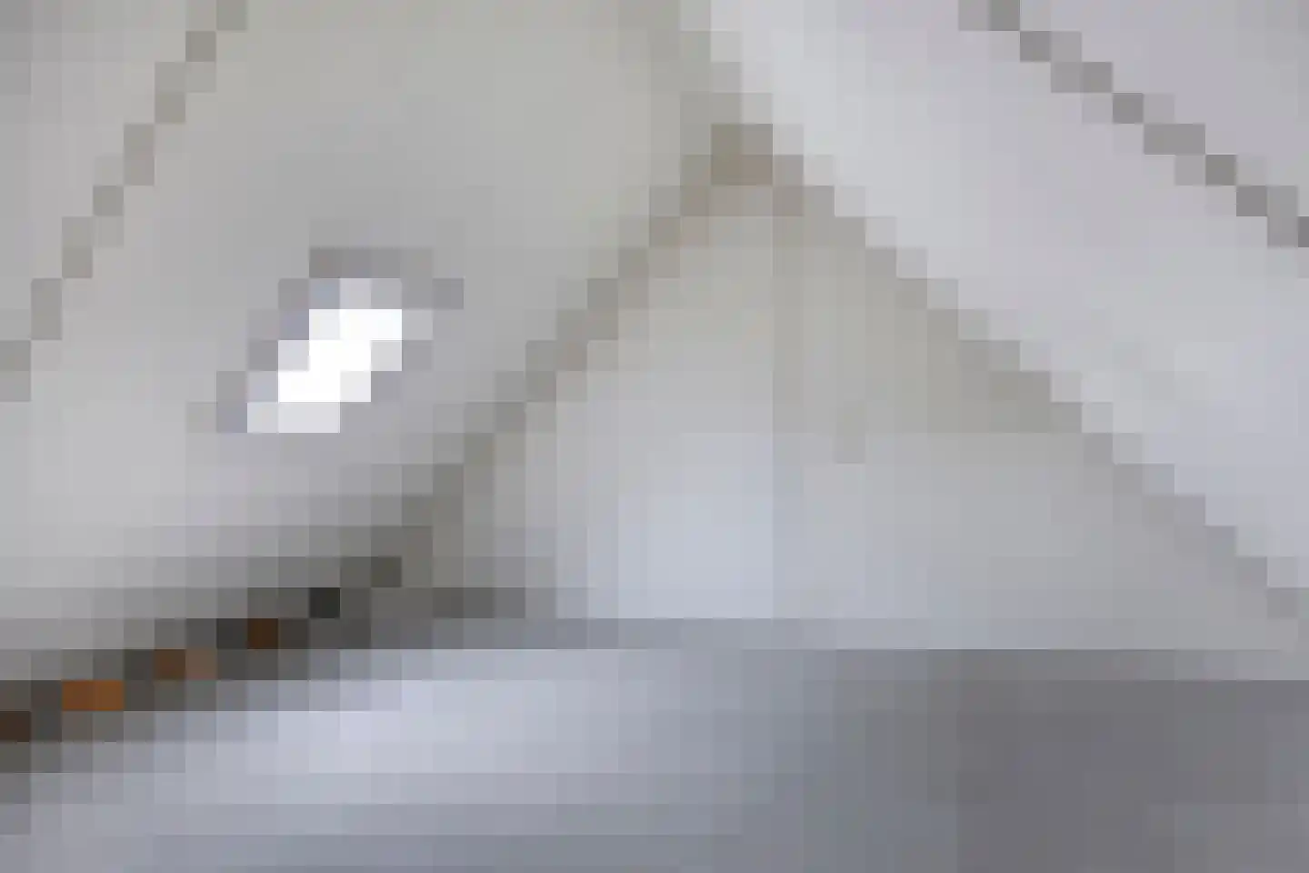 Iep 16 Best thumbnail 27