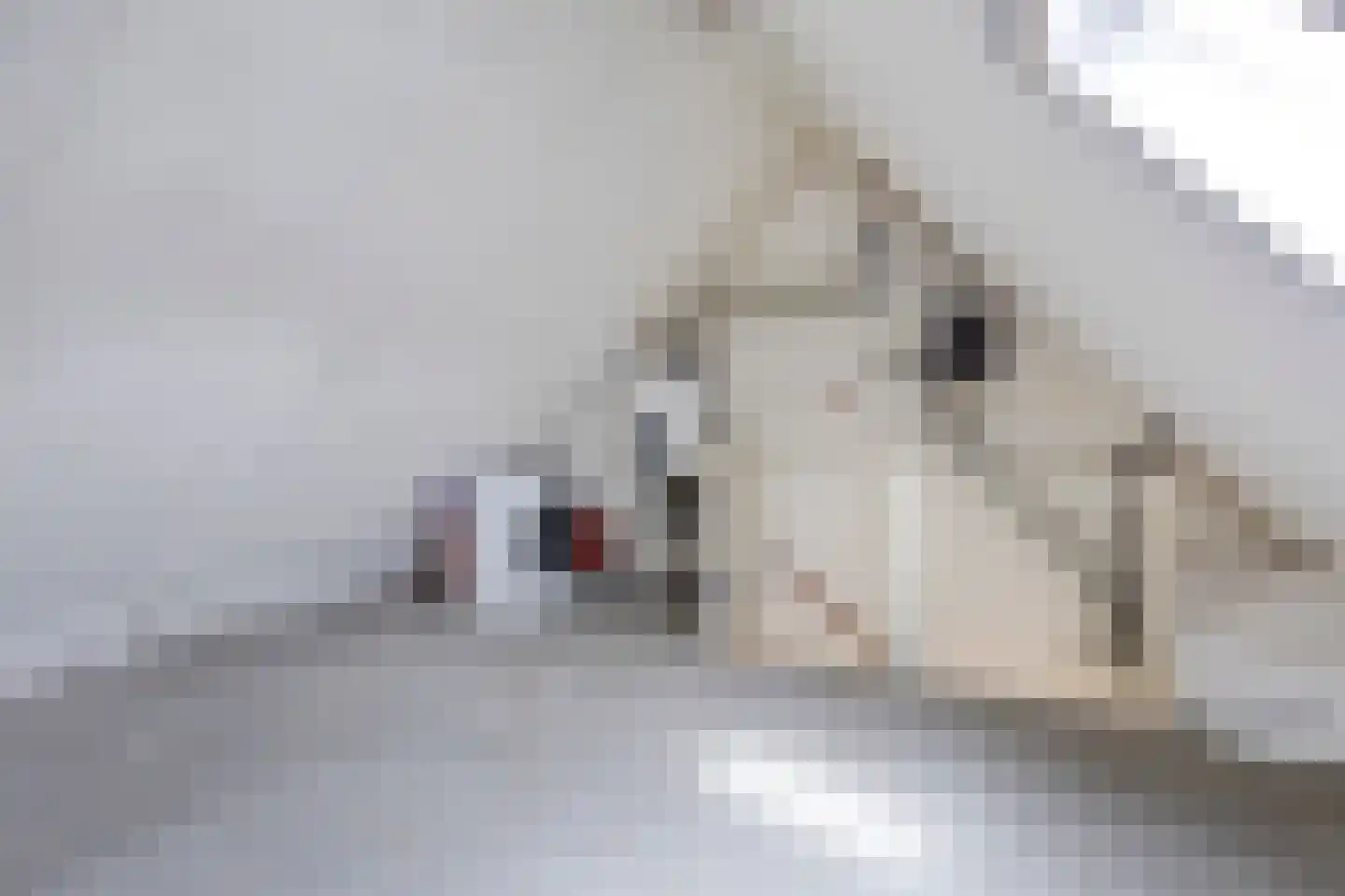 Iep 16 Best thumbnail 28