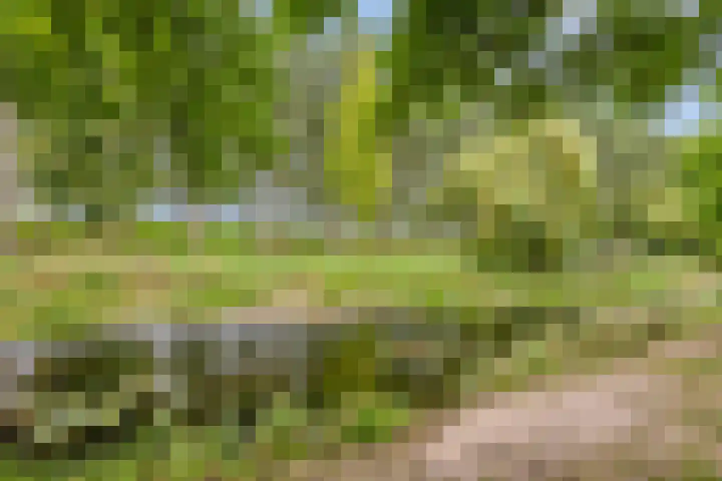 Iep 16 Best thumbnail 33