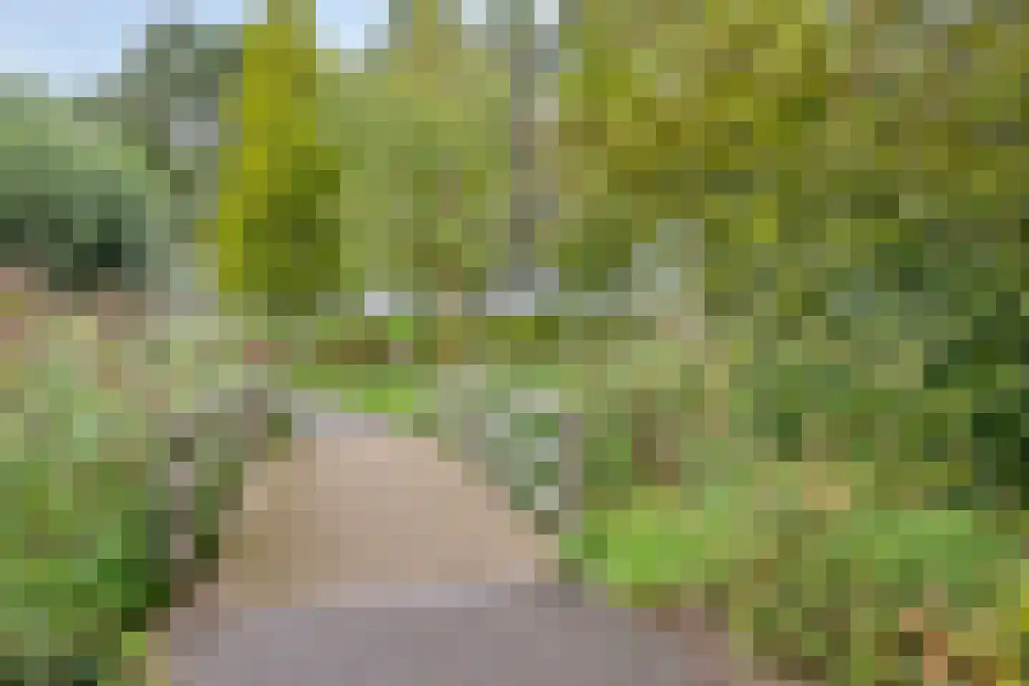 Iep 16 Best thumbnail 34