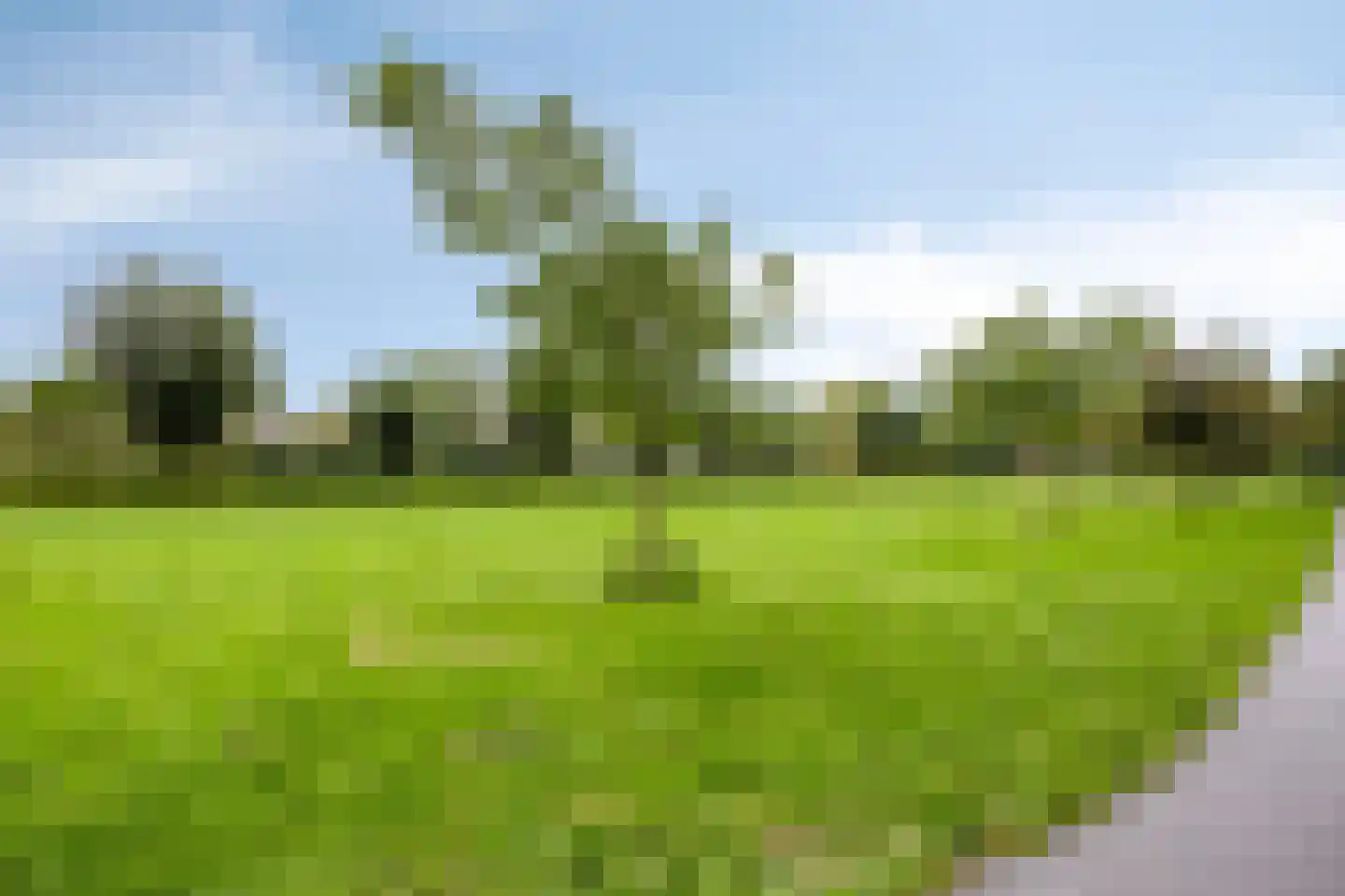 Iep 16 Best thumbnail 35