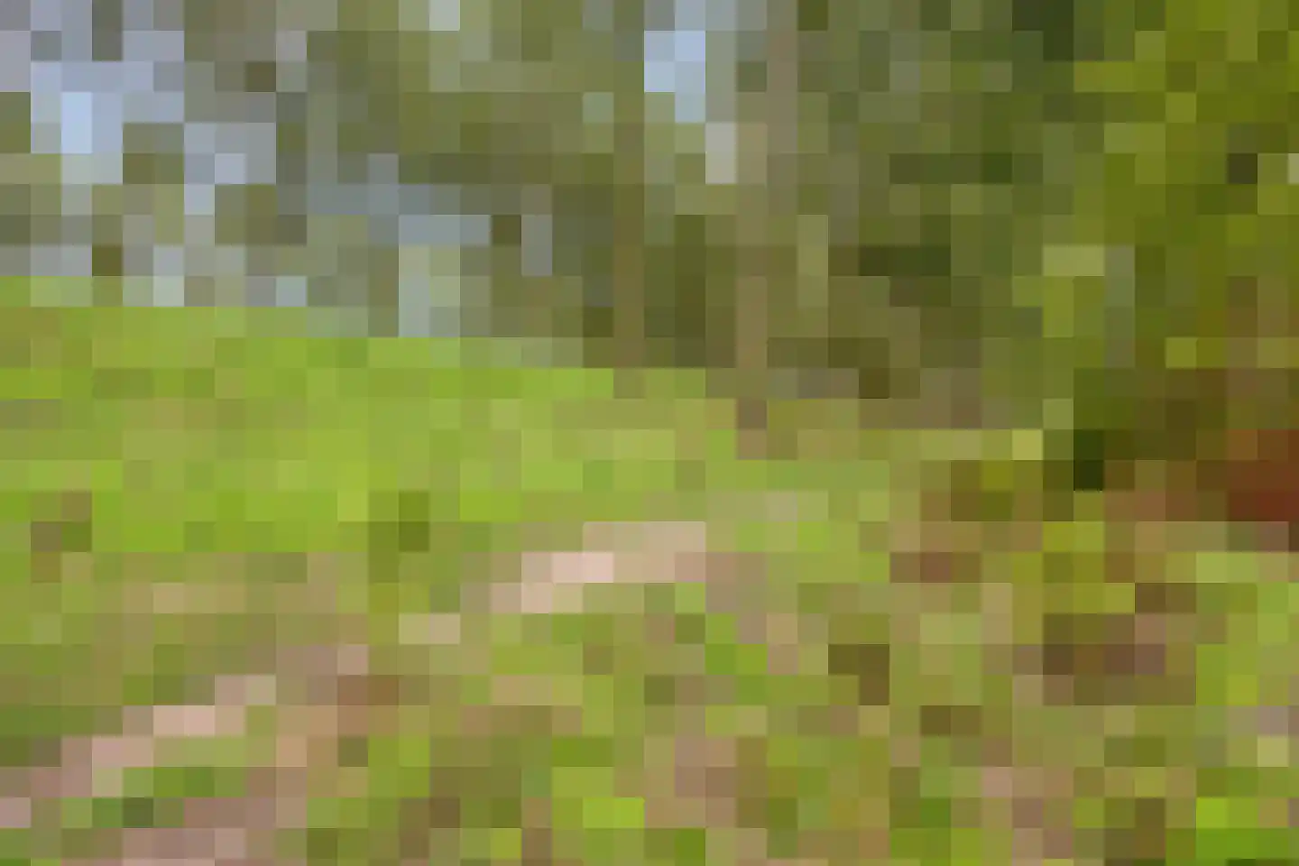 Iep 16 Best thumbnail 36