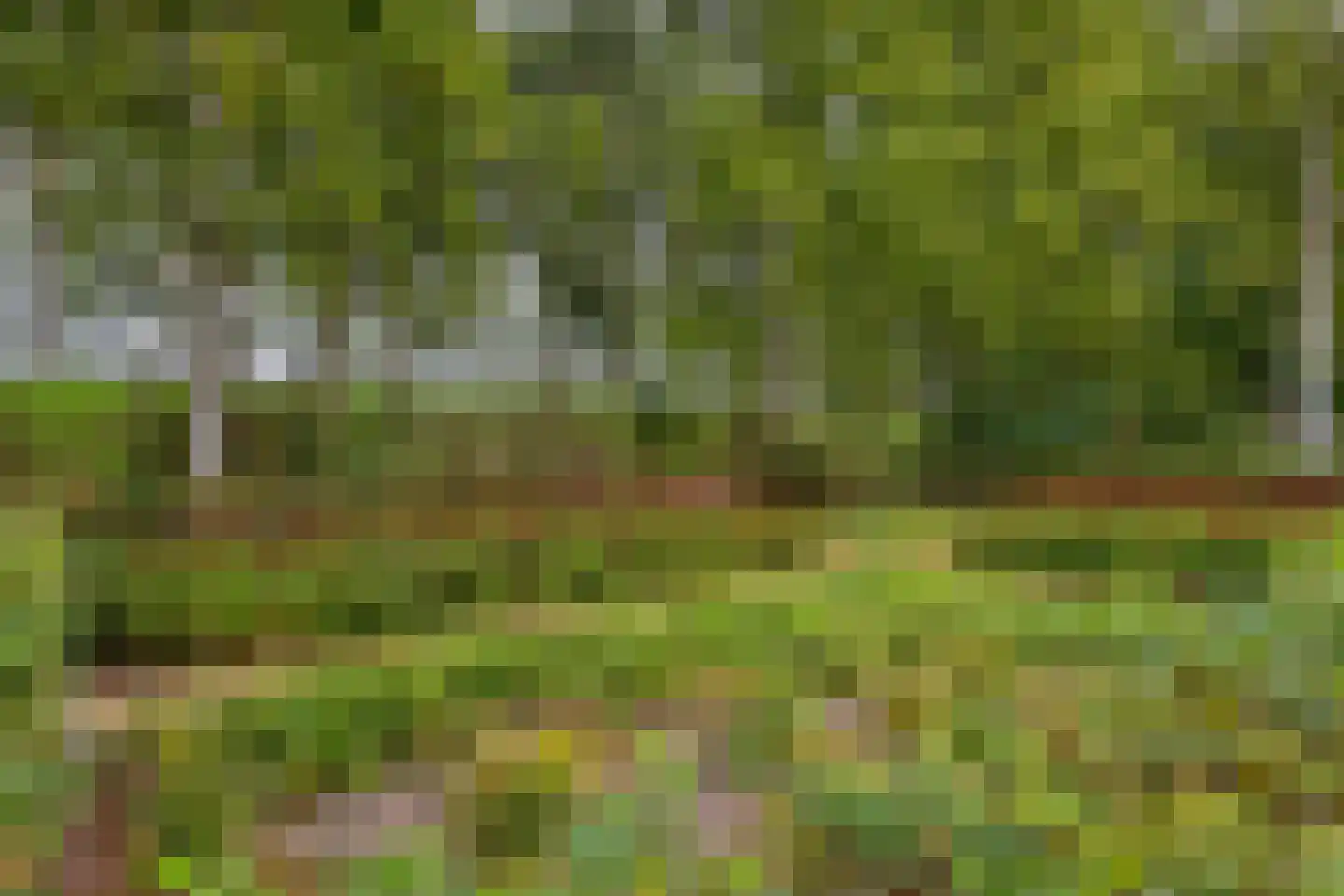Iep 16 Best thumbnail 37