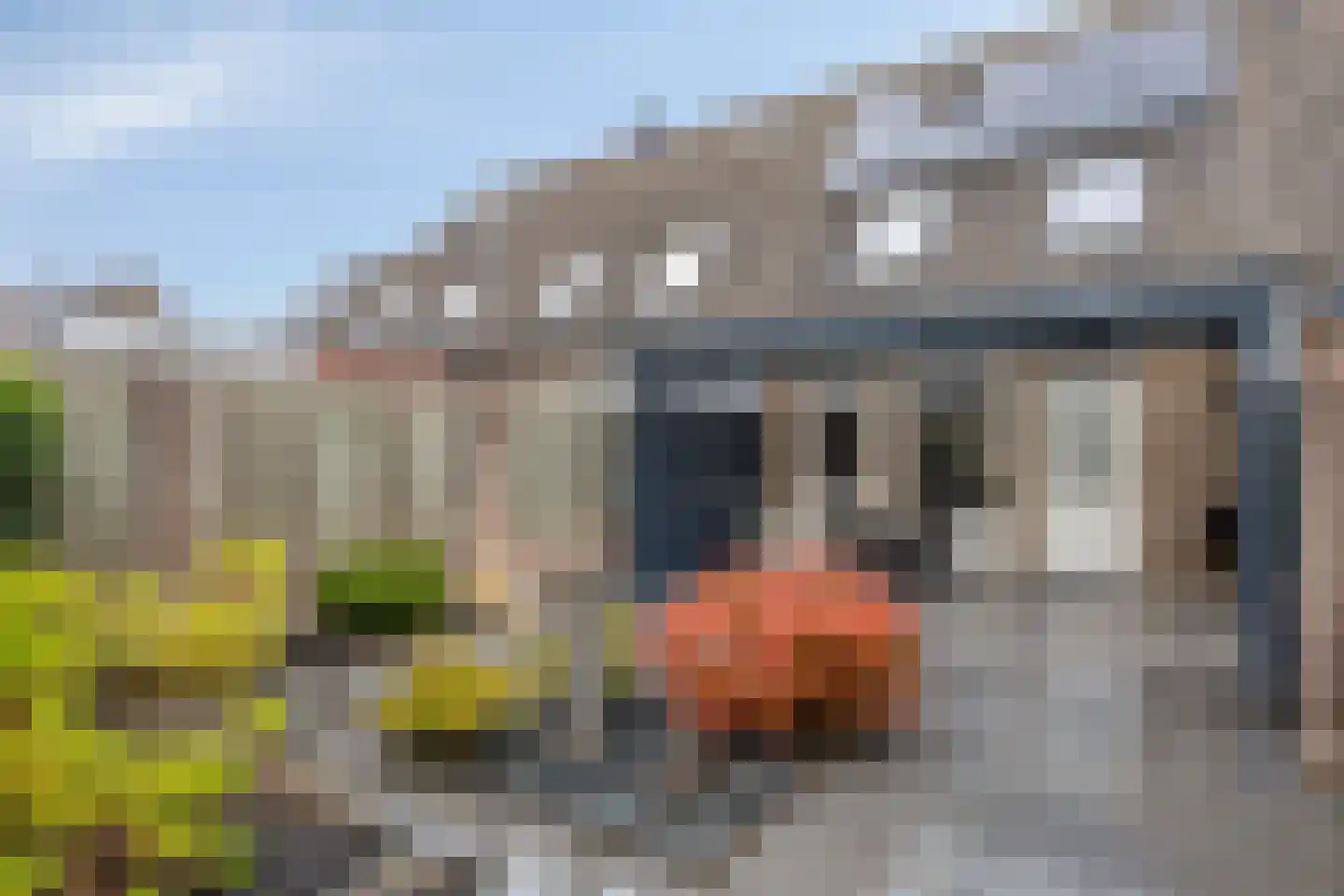 Iep 16 Best thumbnail 6