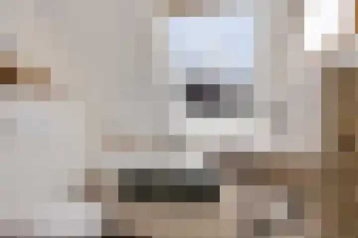 Iep 24 Best thumbnail 27