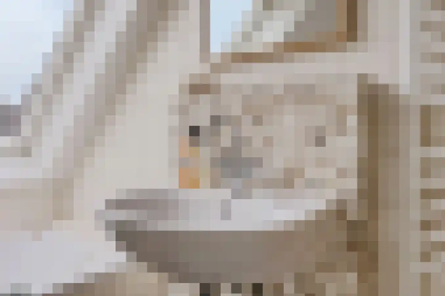 Iep 24 Best thumbnail 28