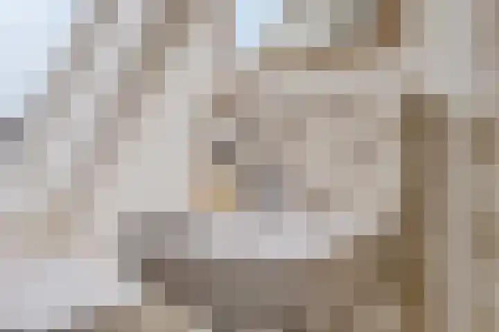 Iep 24 Best thumbnail 28