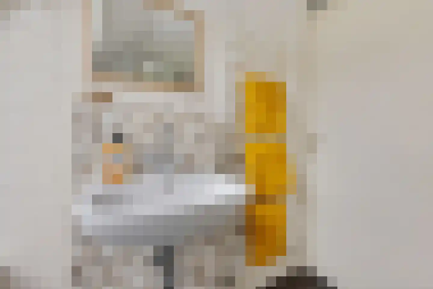 Iep 24 Best thumbnail 29