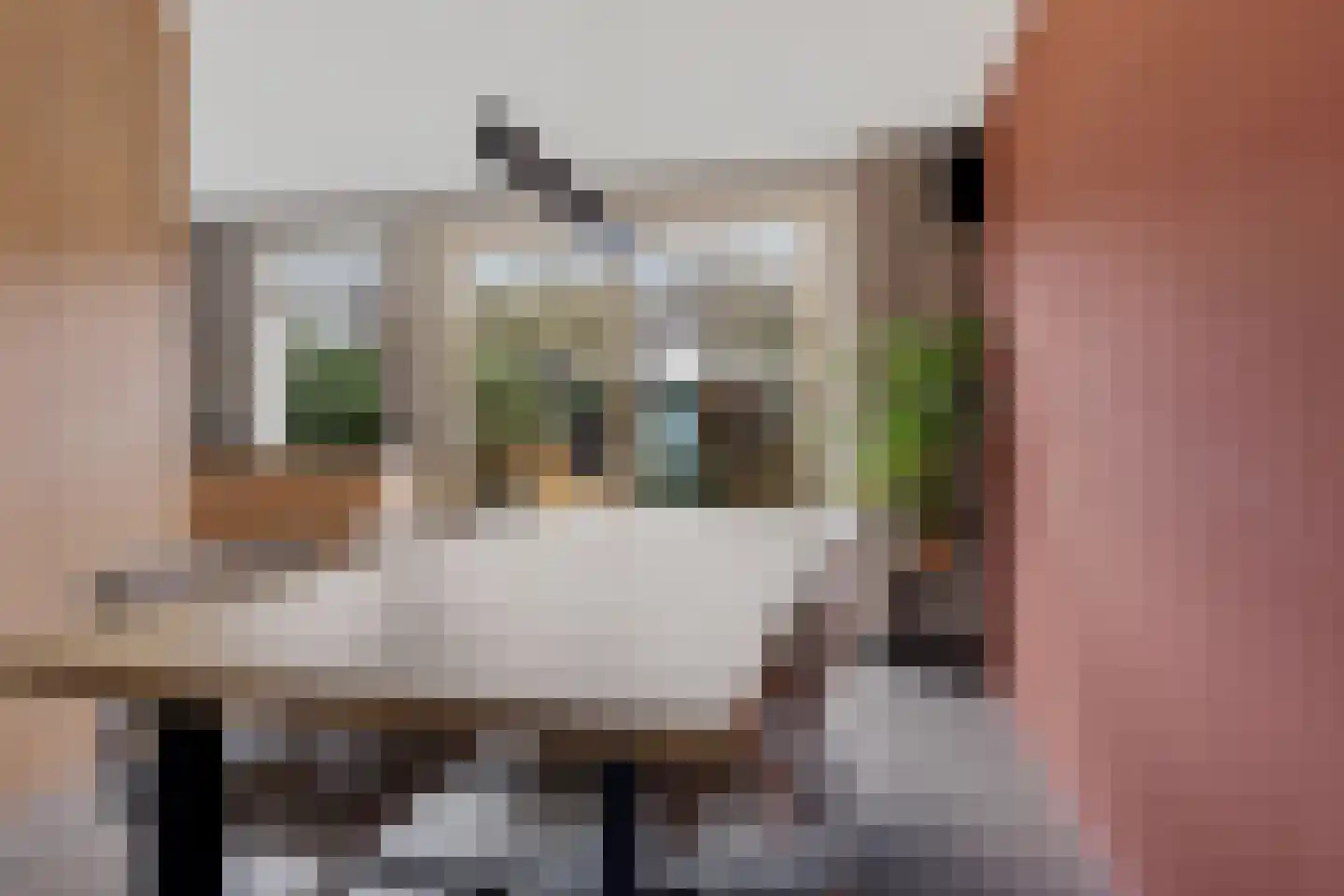 Iep 24 Best foto 3