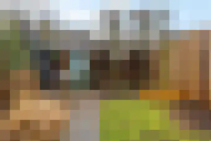 Iep 24 Best thumbnail 36