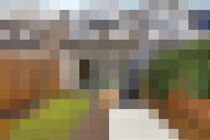 Iep 24 Best thumbnail 37