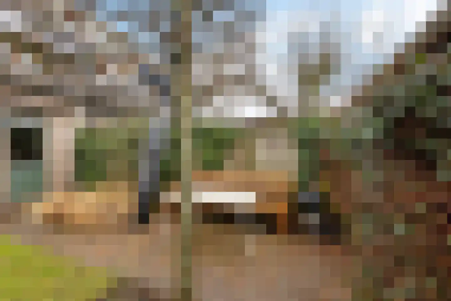 Iep 24 Best thumbnail 38