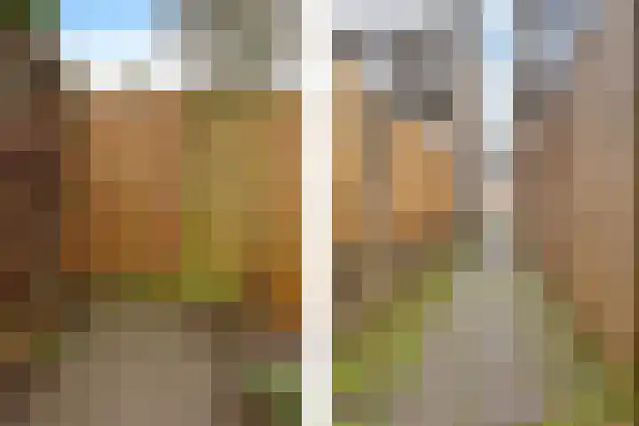 Iep 24 Best thumbnail 39