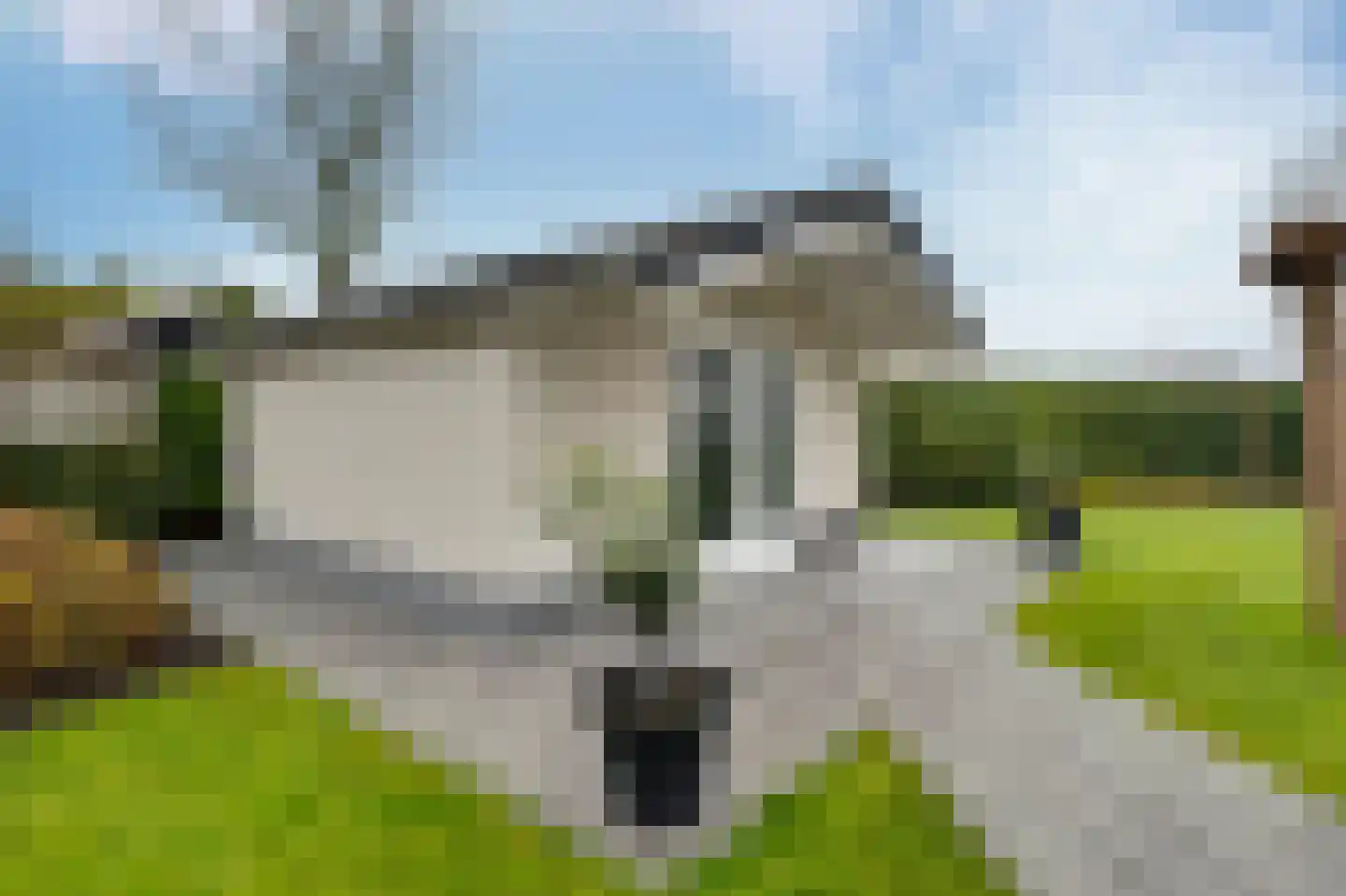 Iep 3 Melissant thumbnail 25