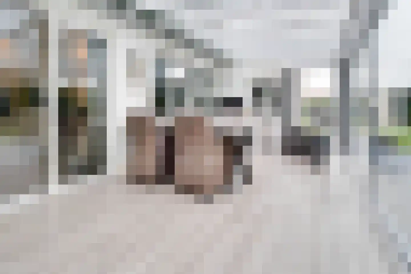 Iep 3 Melissant thumbnail 6